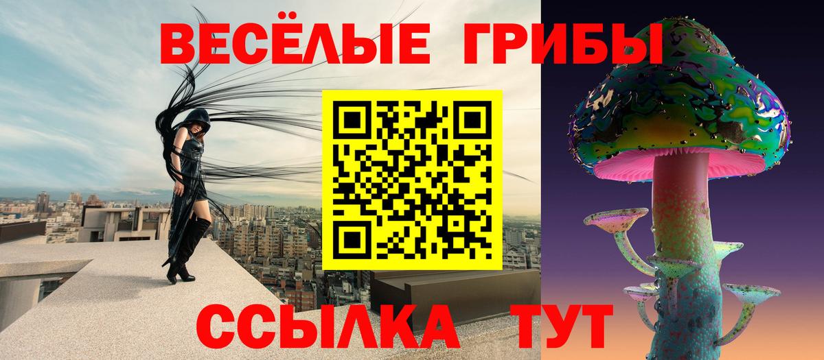 Галлюциногенные грибы GOLDEN TEACHER Югорск