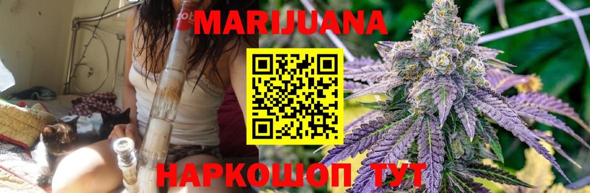Бошки Шишки семена Югорск